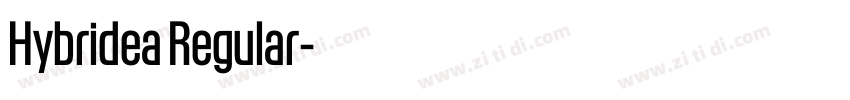 Hybridea Regular字体转换 Hybridea Regular字体转换